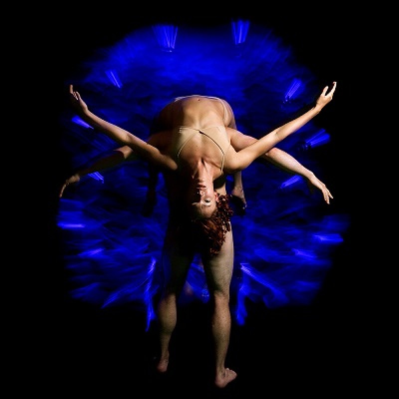 Pilobolus: Five Decades of Visual Masterpieces