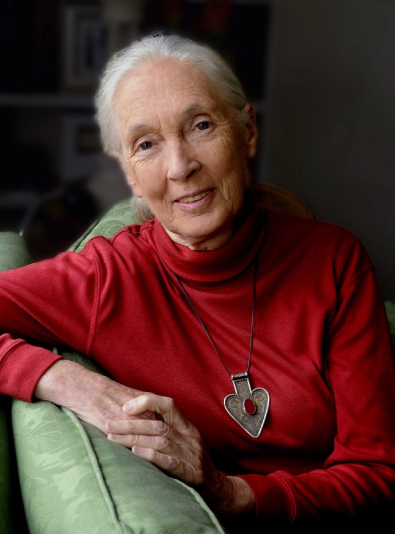 Acclaimed ethologist and conservationist Jane Goodall to reflect on time in Tanzania and climate future at free event at Memorial Union