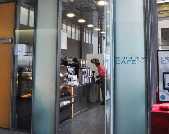 Microcosm Cafe Entrance