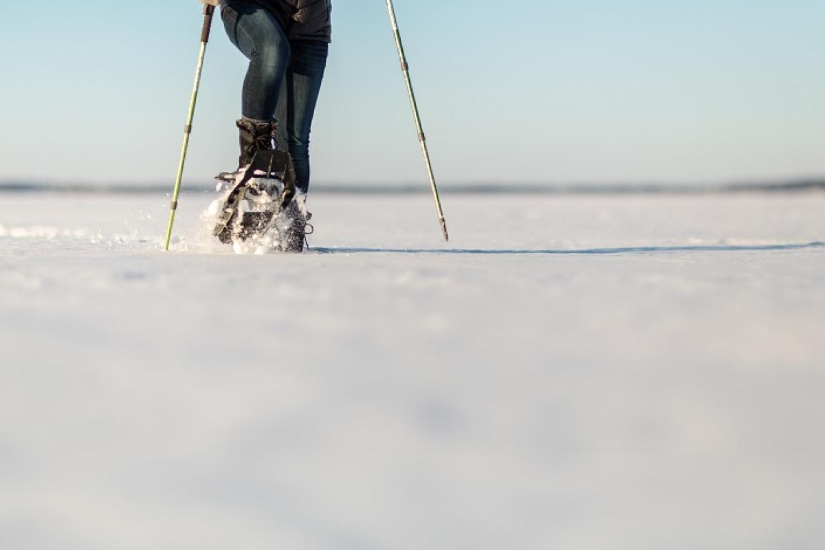 OUW Snowshoeing AM 116 1