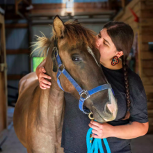 humblehorse pony humblehorse pony